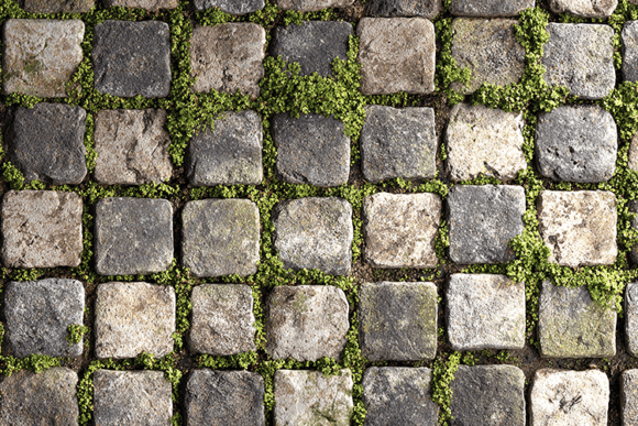 Stone Pavement Texture with Green Moss
